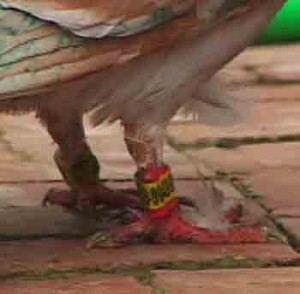 1380946190-1698797375