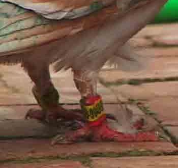 1380946190-1698797375