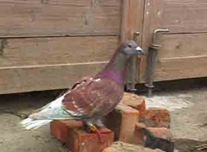 1380946191-2123136062