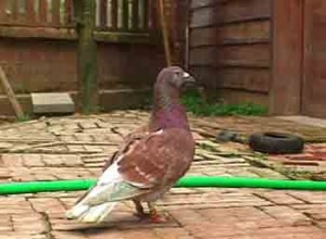 1380946191-3063053316