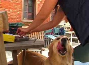 1380946194-4002713654