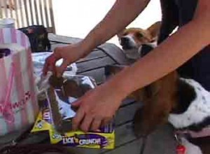 1380946194-4253969986