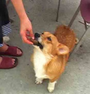 1380946195-2297224211