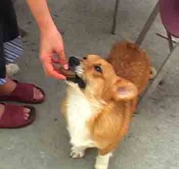 1380946195-2297224211