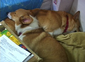 1380946201-3526701675