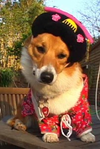 1380946208-1230582060