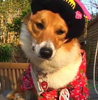 1380946208-1230582060