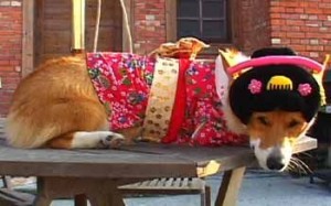 1380946209-1972147082