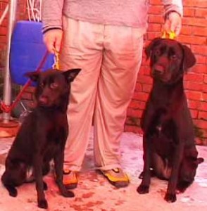 1380946213-3723282596