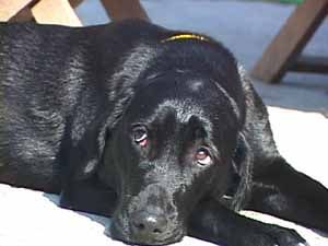 1380946214-3404639712