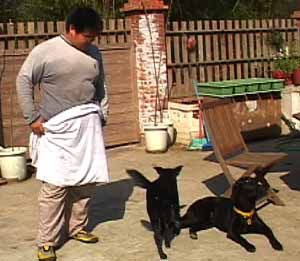 1380946215-204609040