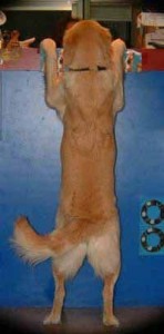 1380946217-3455377435