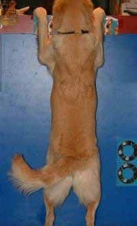 1380946217-3455377435