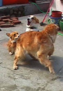 1380946220-2663096750