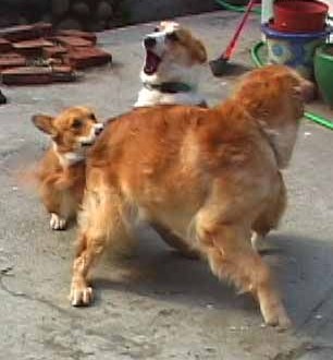 1380946220-2663096750