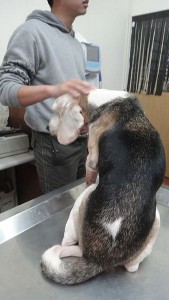 1389852054-3040409553_n