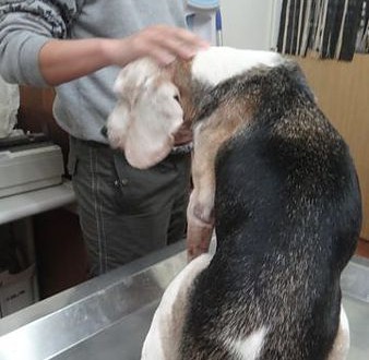 1389852054-3040409553_n