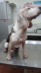 1389852054-51649830_n