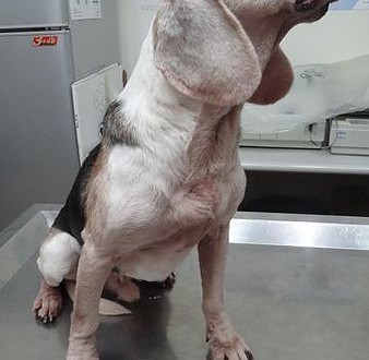 1389852054-51649830_n