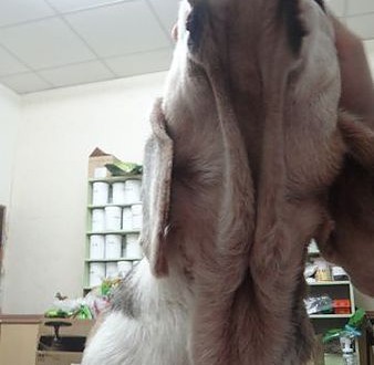 1389852054-558065607_n