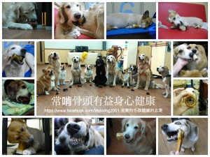 1390290950-382685155