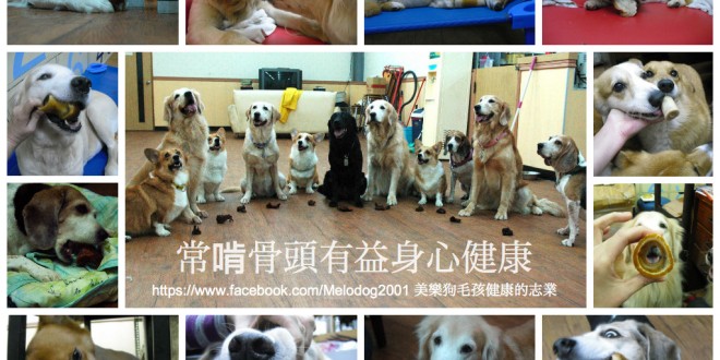 1390290950-382685155