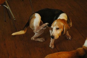 1392104787-1320196550_n