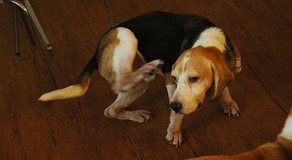 1392104787-1320196550_n