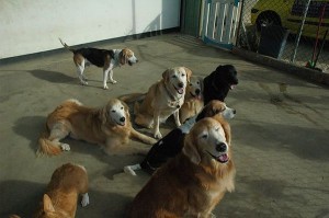 1392104787-1955832629_n