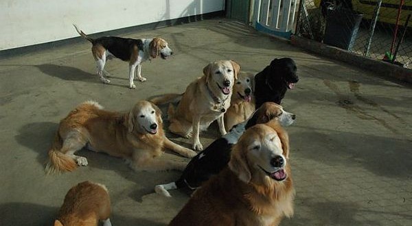 1392104787-1955832629_n