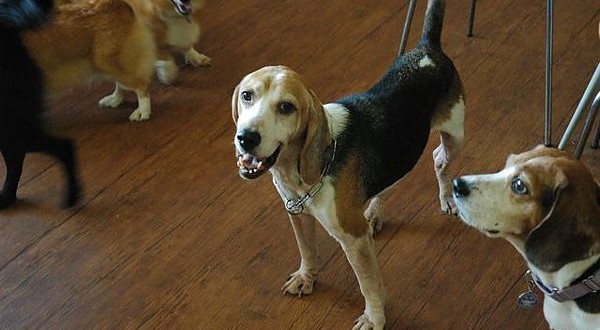 1392104787-2262442627_n