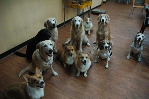 1392104787-2491862847_n