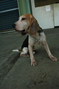 1392104787-2547654499_n