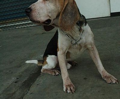 1392104787-2547654499_n