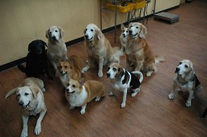 1392104787-4180133891_n