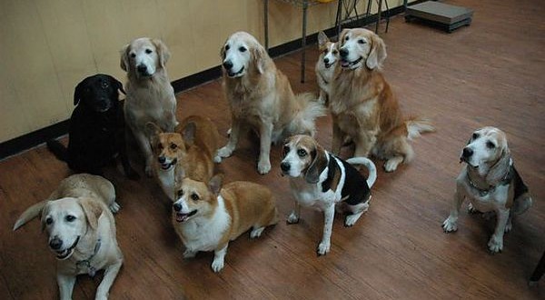 1392104787-4180133891_n