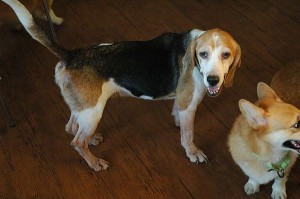 1392104787-686257153_n