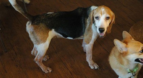 1392104787-686257153_n