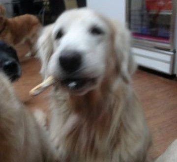 1013729_827657513917199_159258105_n