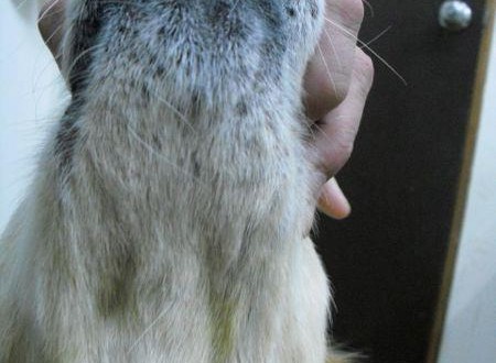 12794_479531268734557_821479032_n