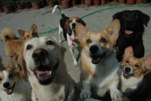 1380943668-2770673596