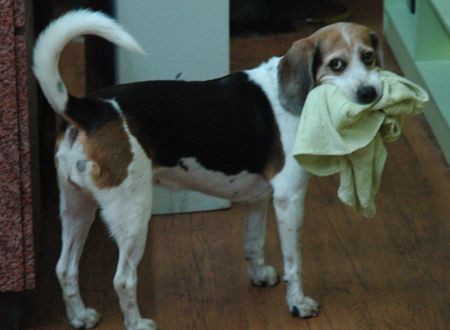 1380943668-4217570660