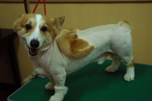 1380943668-431078083