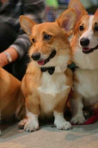 1380943669-161166001