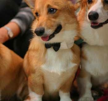 1380943669-161166001