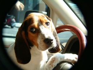 1380943669-2308498930