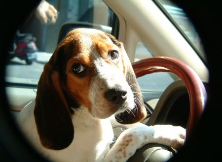 1380943669-2308498930