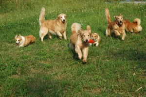 1380943670-1849648464