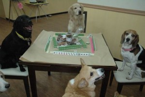 1380943670-599501286