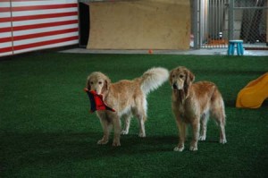 1380943767-1418419750